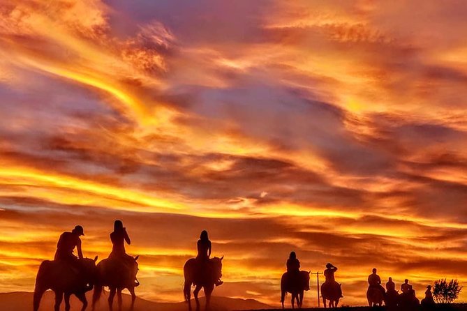 Las Vegas Horseback Ride with Meal
