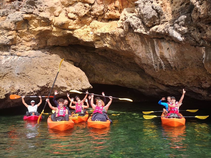 The 5 Best Dolphin & Whale Watching Tours in Portugal