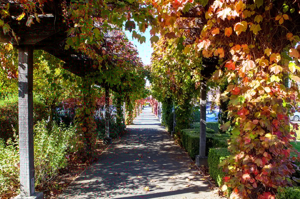  San Francisco: Napa and Sonoma Valley Wine Tour 