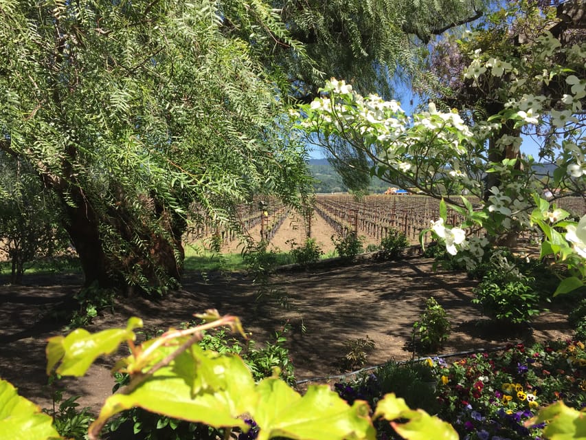  Napa Valley Tour by Private Car from San Francisco 