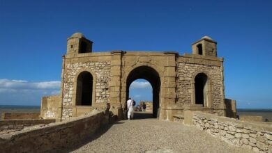 Best Essaouira Day Trips From Marrakech