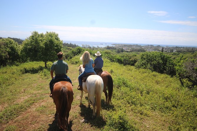 Oahu 1 Hour Scenic Horseback Ride