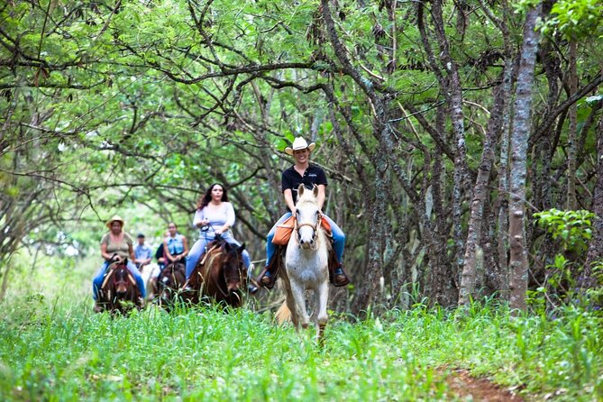 Oahu Sunset Horseback Ride
