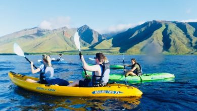 Best Maui Kayaking Tours
