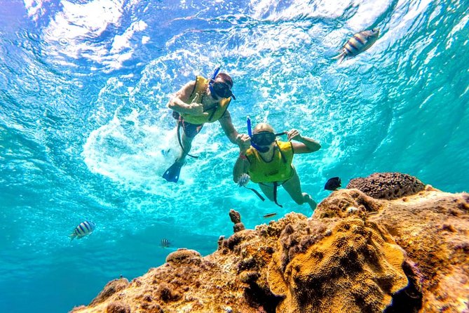 Cozumel El Cielo Snorkel by Private Boat
