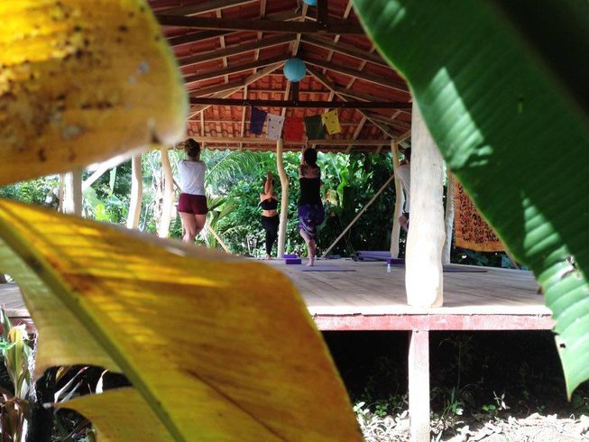 4 Day Immersion Yoga Retreat in Puerto Viejo de Talamanca, Limon