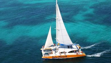 Best Aruba Snorkeling Tours