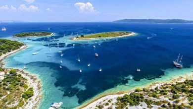 Best Blue Lagoon Tours