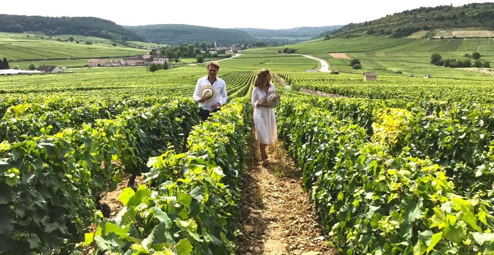 Best Burgundy Wine Tours
