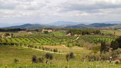 Best Chianti Wine Tours From Florence