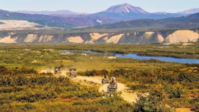 Best Denali Park ATV Tours