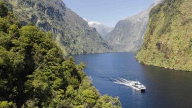 Best Doubtful Sound Cruises
