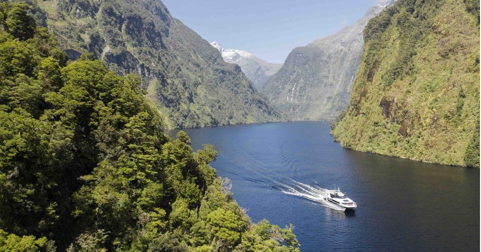 Best Doubtful Sound Cruises