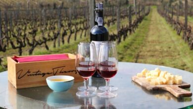 Best Douro Valley Wine Tours From Porto
