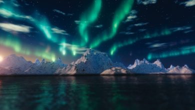 Best Fairbanks Northern Lights Tours