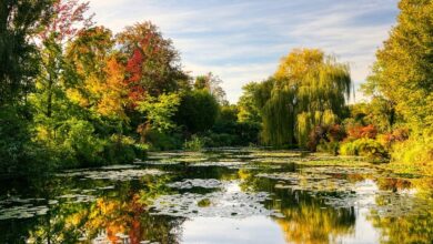 Best Giverny & Monet's Garden Tours