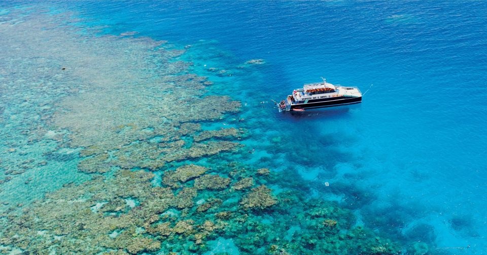 Best Great Barrier Reef Cruises