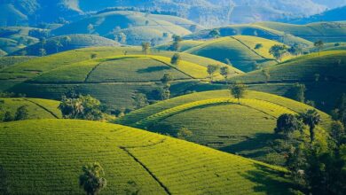 Best Ha Giang Loop Motorbike Tours