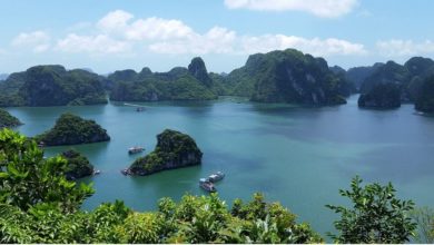 Best Halong Bay cruise