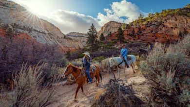 Best Las Vegas Horseback Tours