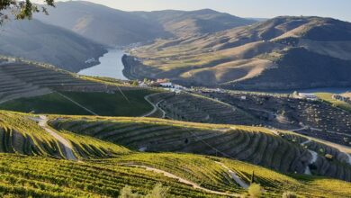 Best Lisbon Wine Tours