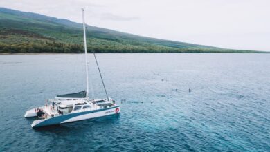 Best Maui Boat Tours