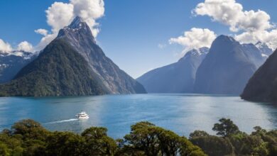 Best Milford Sound Scenic Flight Tours