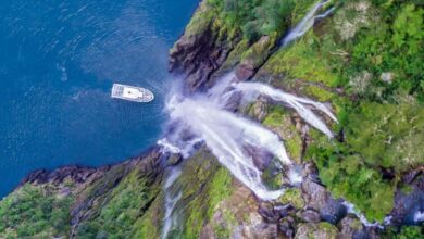 Best Milford Sound Cruises