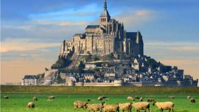 Best Mont Saint-Michel Tours