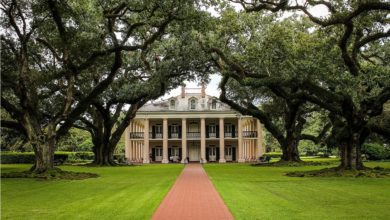 Best New Orleans Plantation Tour