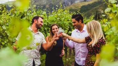 Best Nice Wine Tours