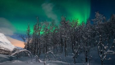 Best Northern Lights Tours In Norway