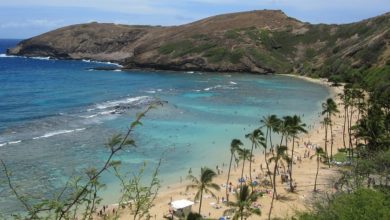 Best Oahu Snorkeling Tours