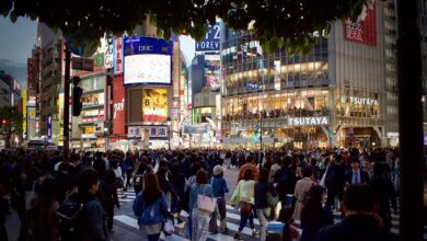Best Private Guided Tours of Tokyo