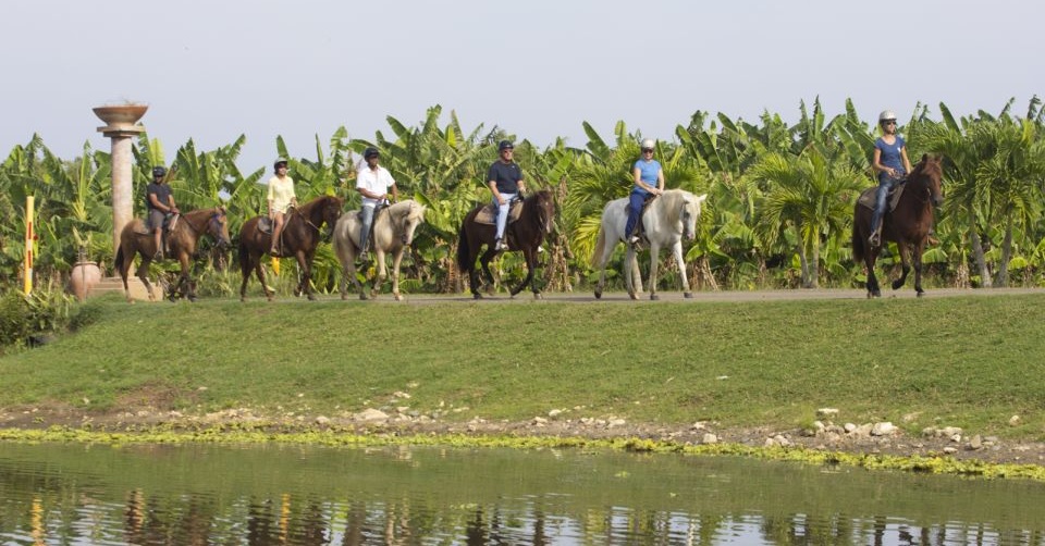 Best Puerto Rico Horseback Tours