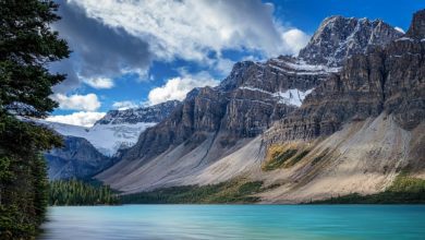 Best Rocky Mountain National Park Tours From Denver
