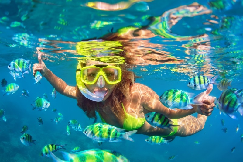 Best Snorkeling Tours in Cozumel