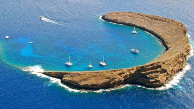 Best Maui Snorkeling Tours