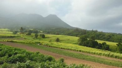 Best St Kitts ATV Tours