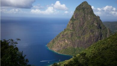 Best St. Lucia Zipline Rainforest Adventures
