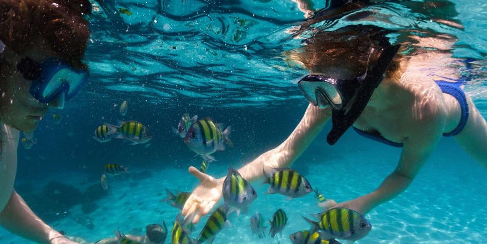Best St. Thomas Snorkeling Tours