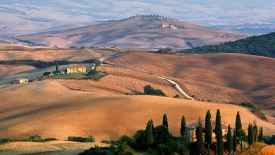 Best Tuscany Vespa Tours