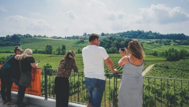 Best Venice Wine Tours
