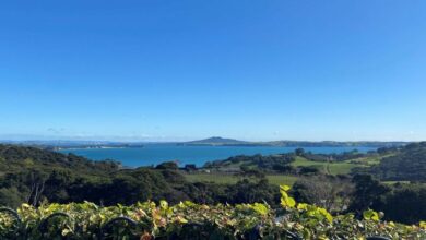 Best Waiheke Island Wine Tours