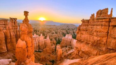 Best Zion National Park Tours From Las Vegas