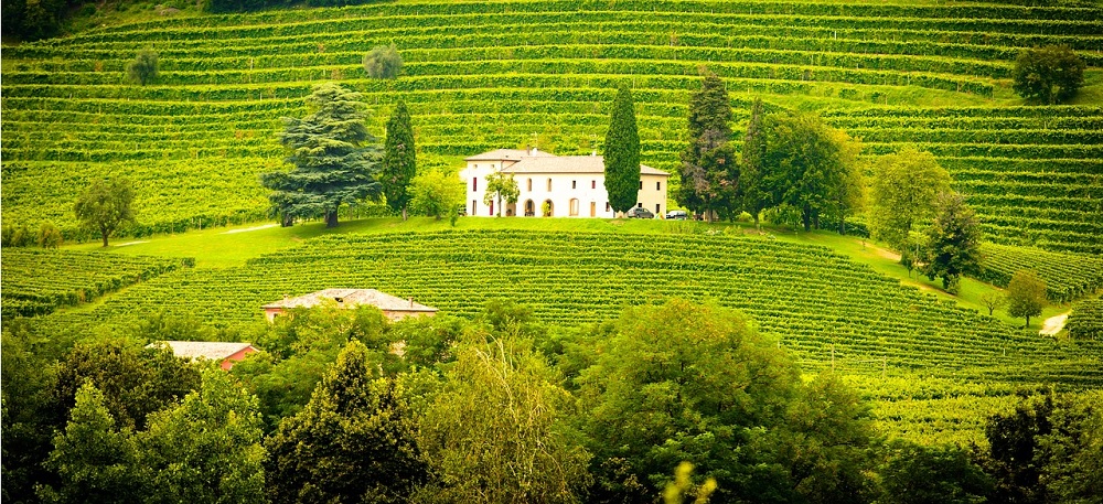 Chianti Wine tours