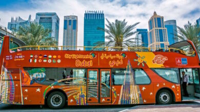 best Dubai Bus Tours