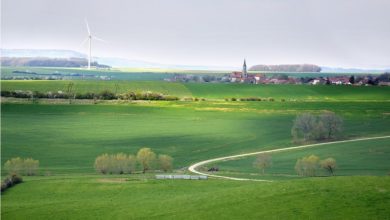 Guide To Becoming A More Eco-Friendly & Sustainable Traveler