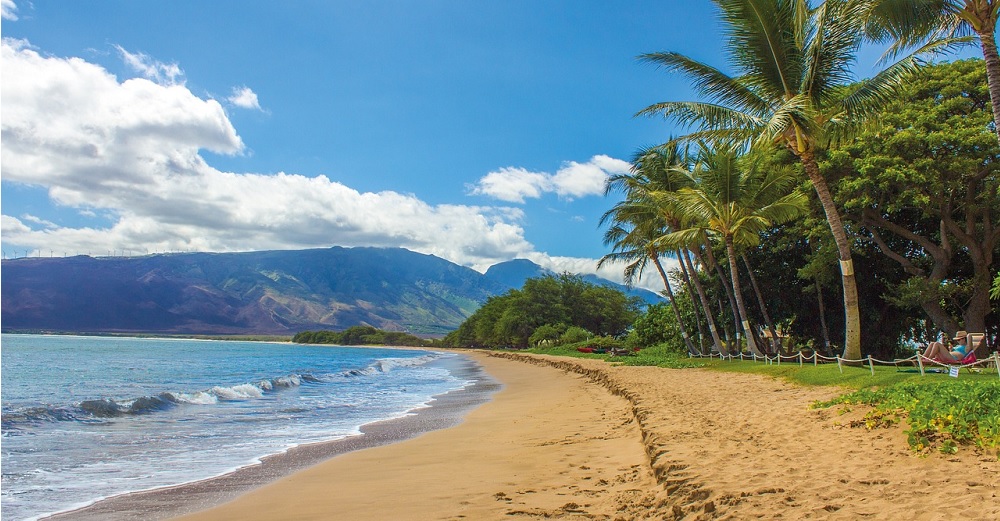 What Do I Need To Know About Maui ATV Tours
