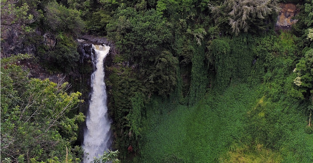 What Will I See on a Maui ATV Tour